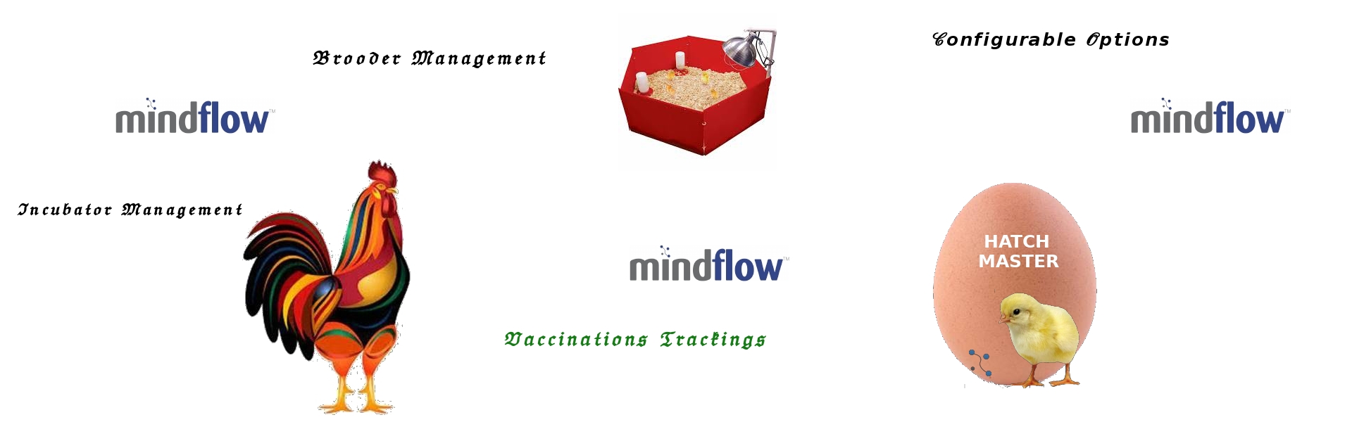 Mindflow